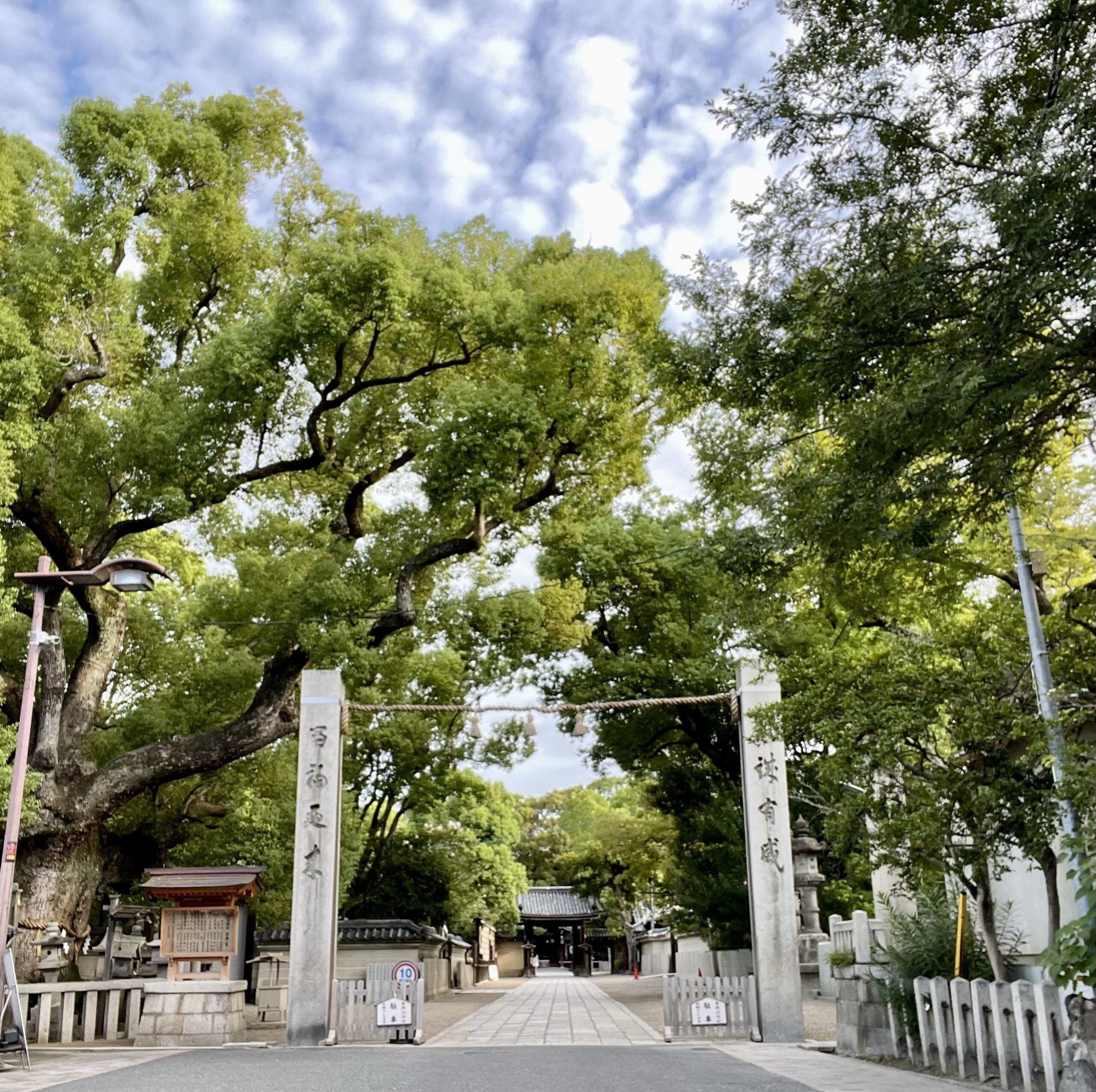 建築学科の高校生と寺社仏閣の研修会に参加する話