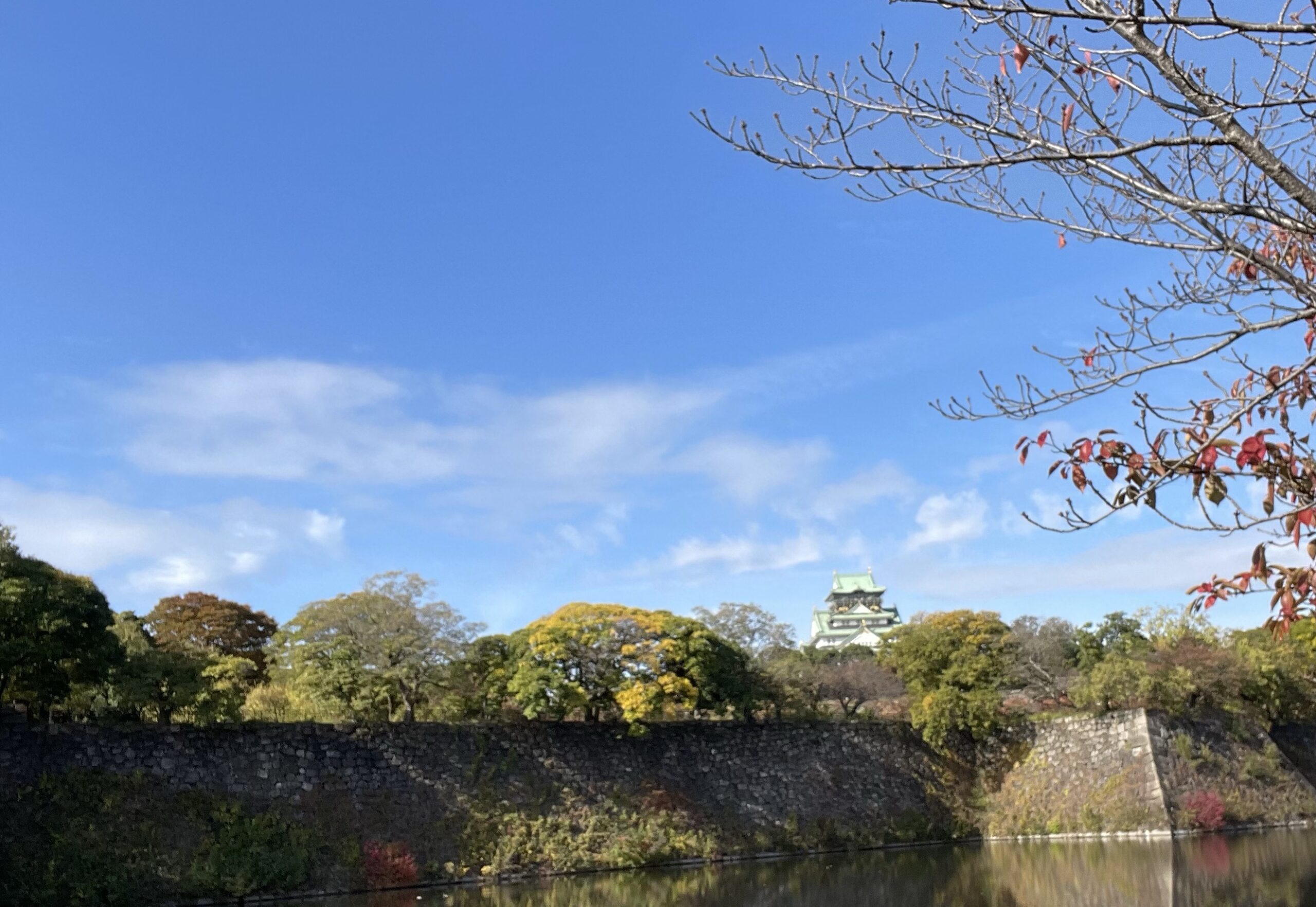 2024年度の大阪城公園の紅葉・見頃より早めに行きました