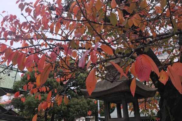 怪我無く仕事納めと来年の家具繁忙期の備え