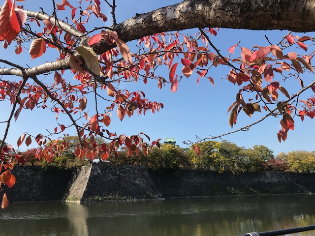 大阪城公園紅葉2019