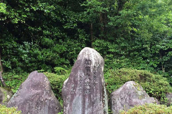 和歌山カレー事件ドキュメンタリーマミーと秘密と嘘を重ねる生きづらさ