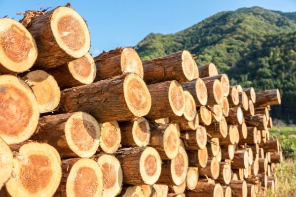 学校にいけない・働けない苦悩を不揃いの木を組むでサポート