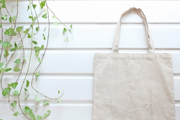 ジャにのちゃんねるでIKEAの家具選び…売れそう