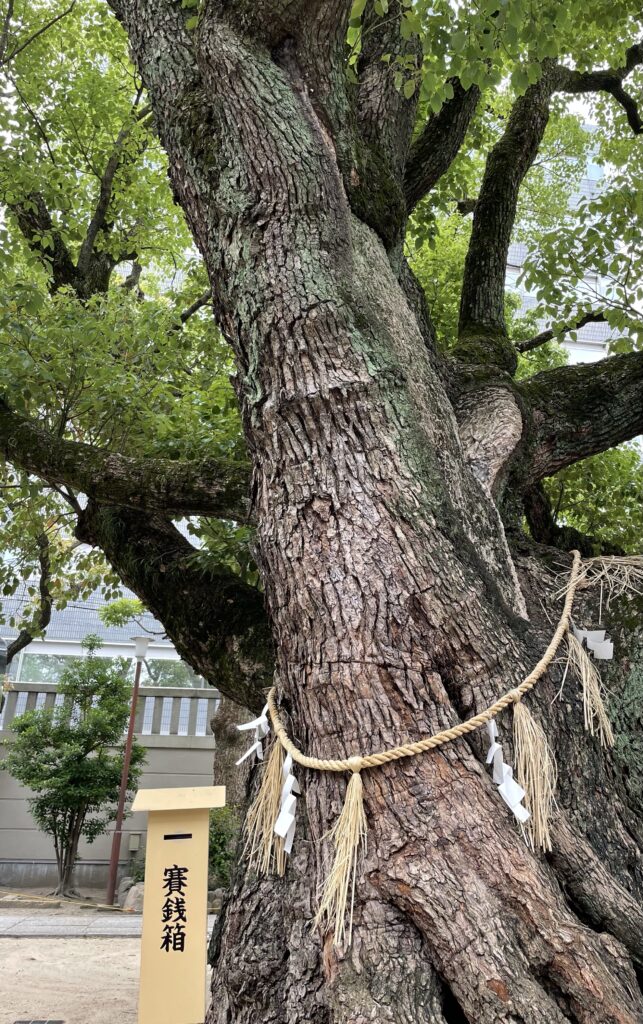 樹齢400年以上の楠・難波神社の御神木はパワースポット？