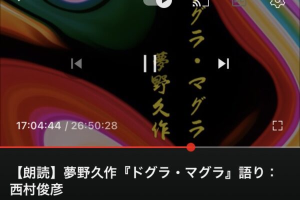 日本三大奇書ドグラ・マグラを製図の独学や仕事の合間に聴き流している話