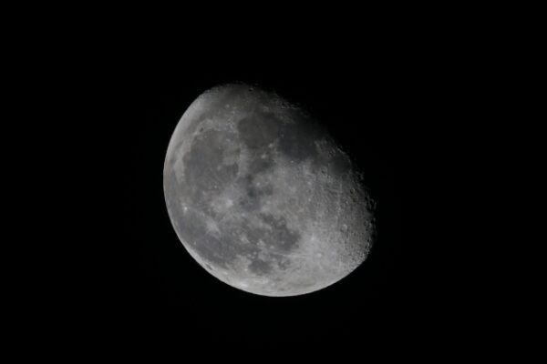 保護中: 消えたい