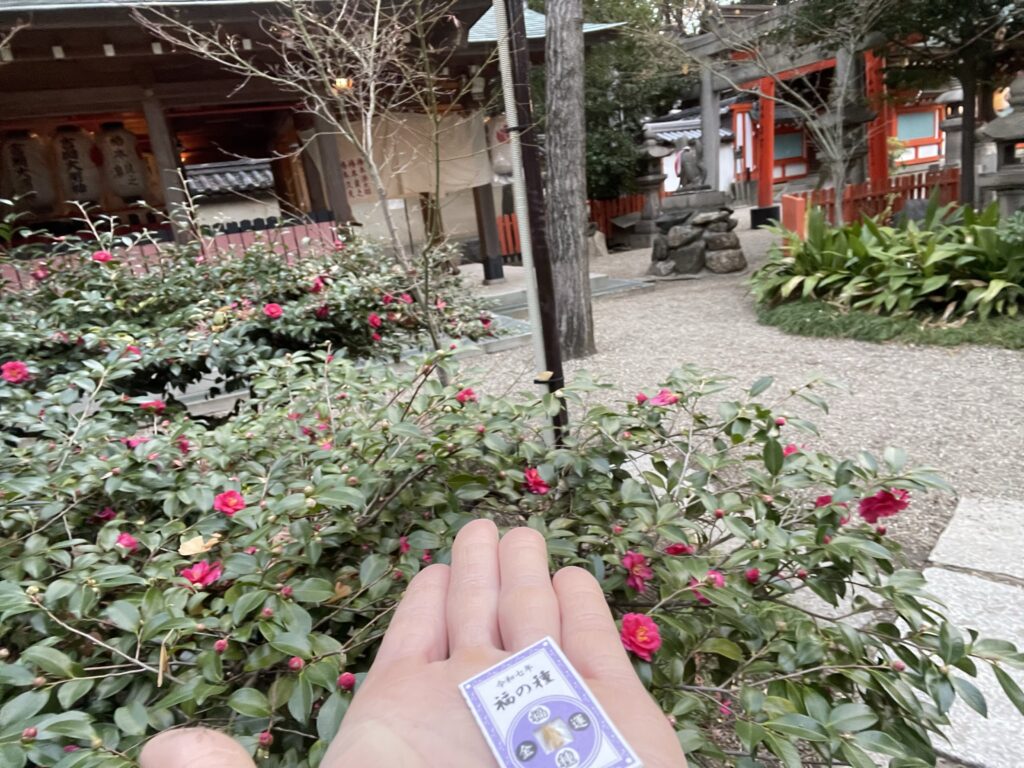 杭全神社の境内の赤い椿と福の種