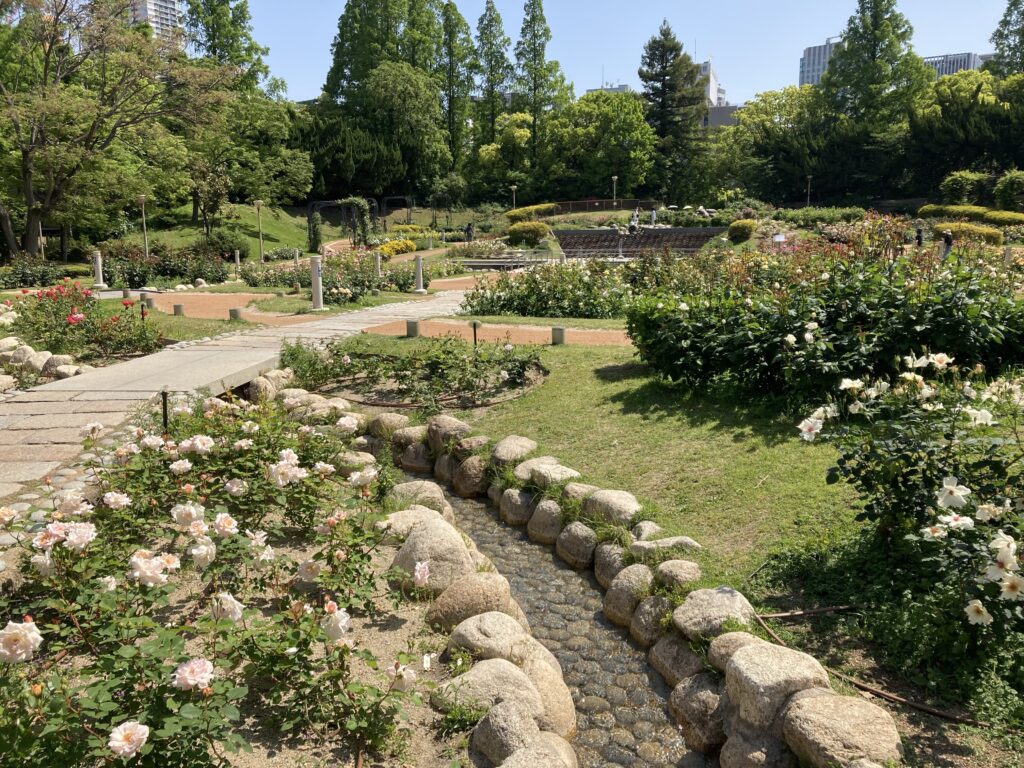靭公園バラ園