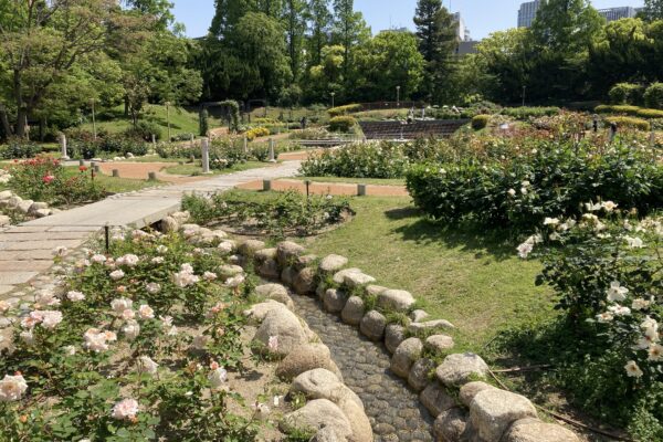 靭公園バラ園