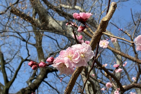 保護中: 女性としての素敵な生き方を逆に学ばせていただきました。