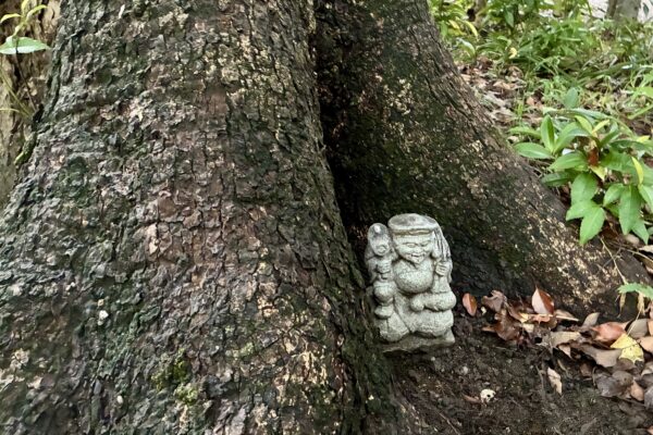 保護中: おススメの因幡の白うさぎ饅頭とカノザ・しじみのチーズサンド